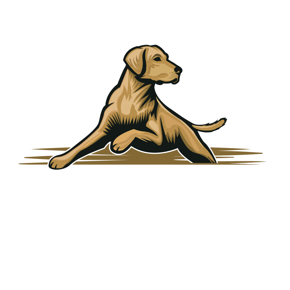 Sycamore Kennels